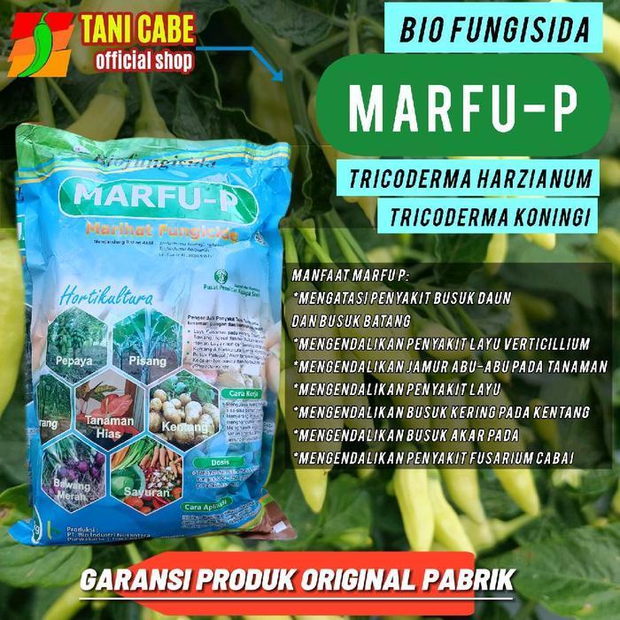FLASH SALE FUNGISIDA MARFU-P TRICHODERMA HARZANIUM 1 KG DENGAN BAHAN AKTIF TRICHODERMA HARZANIUM DAN