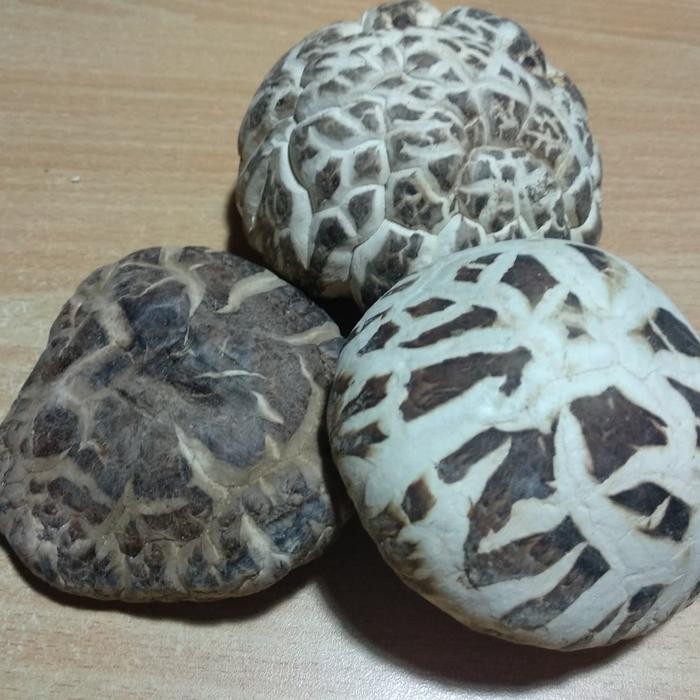 

ASLI Jamur Hioko/Sngku/Shitake kering grade A READY STOCK