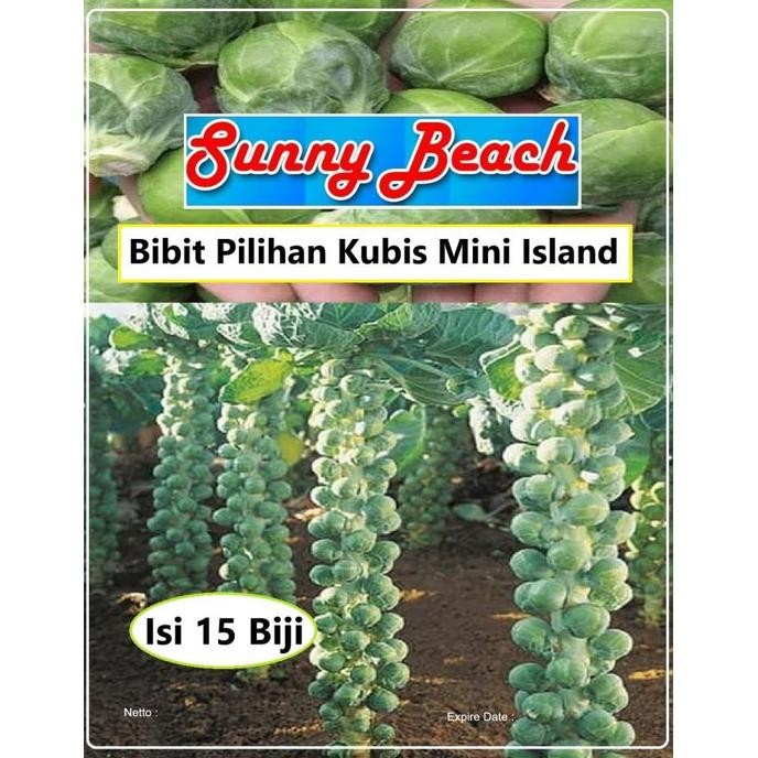 KOMPLIT Bibit Pilihan Kubis Mini Island Biji Benih Kol MiniBiji Bibit Kubis