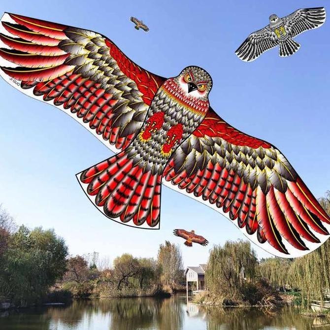 LAYANGAN ELANG JUMBO MAINAN LAYANG LAYANG KE LAYANGAN LAYANGLAYANG NAGA SUKHOI OLAHRAGA SEOT