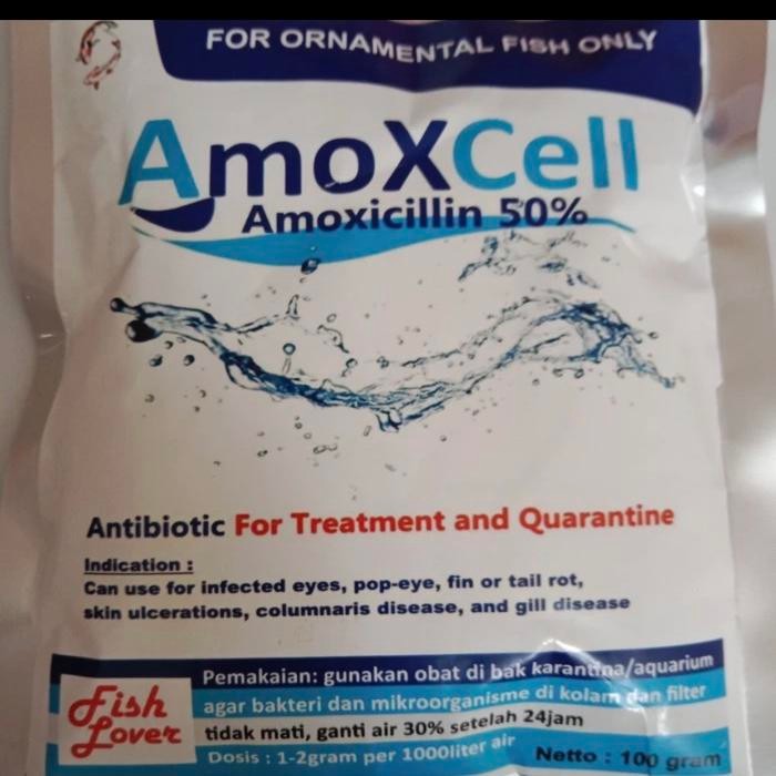 Amoxcell obat ikan antibiotik Karantina aeromonas Koi ikan air tawar