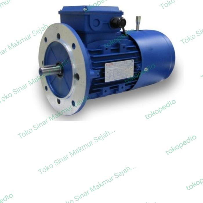 New Motor Brake Yuema Ybd 0,75 Hp 0,55 Kw Rpm 4 Pole 1450 Rpm Model Flange Terlariss 
