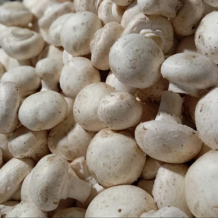 Segar&amanah- Jamur Champignon / Jamur Kancing