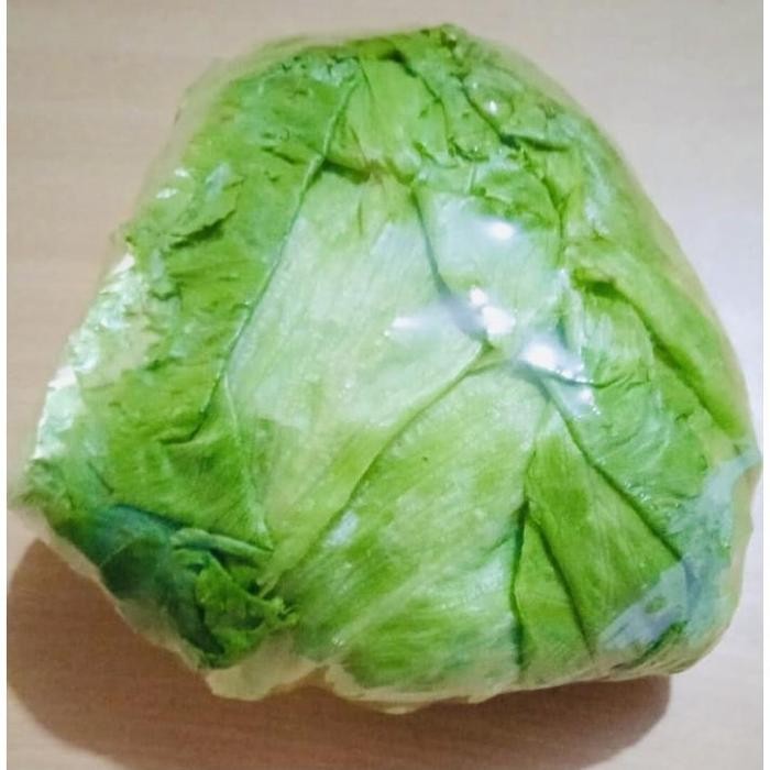 cepatDatangYa- Lettuce Head Fresh Inagreen Farm Bandung