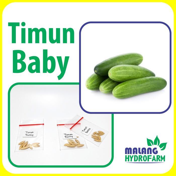 BIBIT F1 BENIH TIMUN BABY UNGGULAN MENTIMUN KETIMUN BERKUALITAS ACAR BIJI BIBIT HYDROPONIK