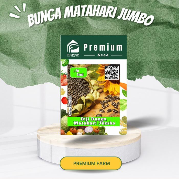 Benih Bibit Biji Bunga Matahari Jumbo