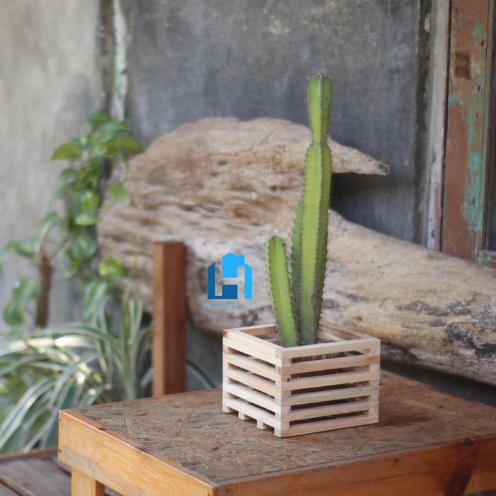 Jlterang Pot Bunga Kayu Kotak / Pot Bunga Kayu Minimalis