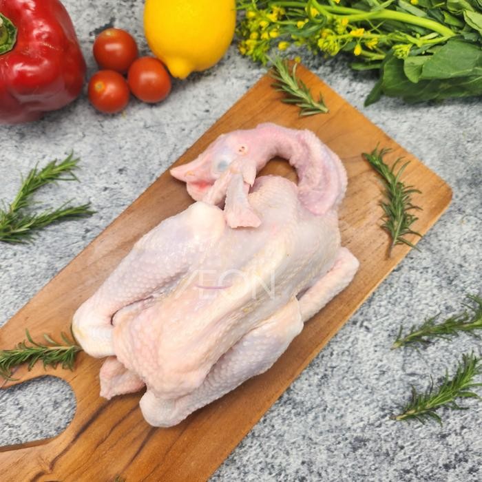 

Pilihan- Ayam Pejantan Utuh Fresh (Size 600 - 700 Gr)