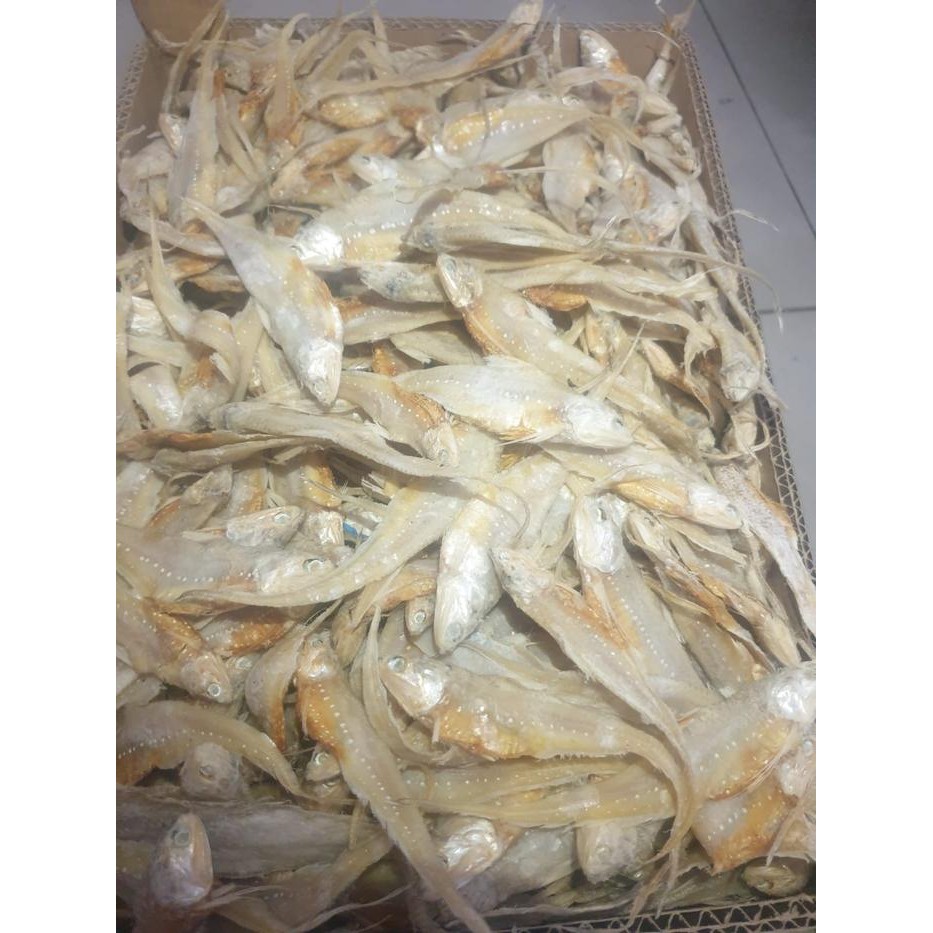 

Pilihan- Bulu Ayam [Ikan Asin Murah][Super]