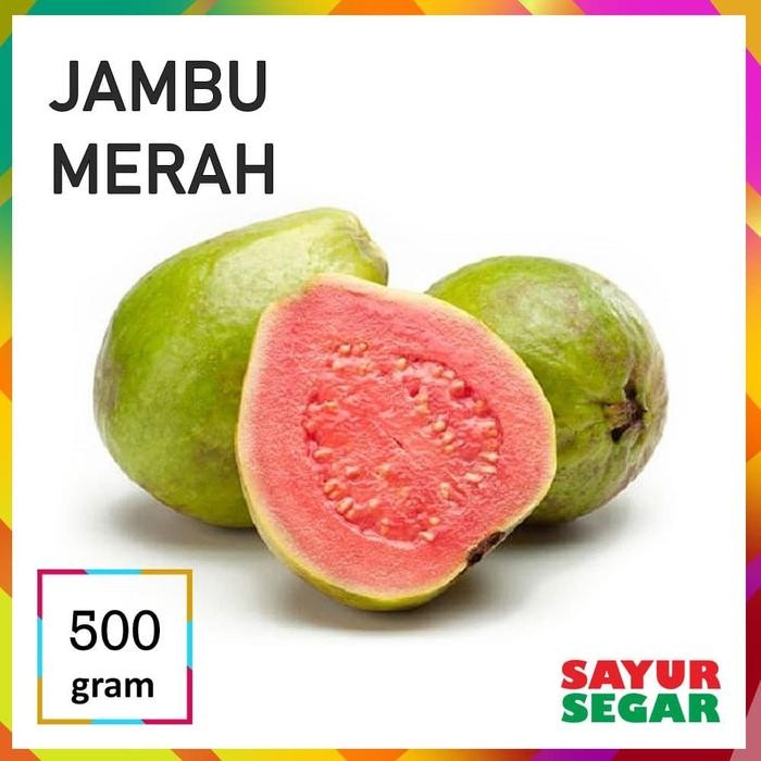 

Pilihan- Jambu Merah - Bahan Rujak [500G]