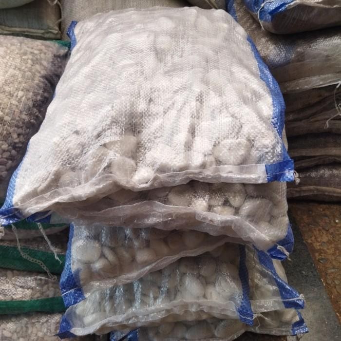 Batu Koral Putih / Batu Alam Hias Taman Karungan