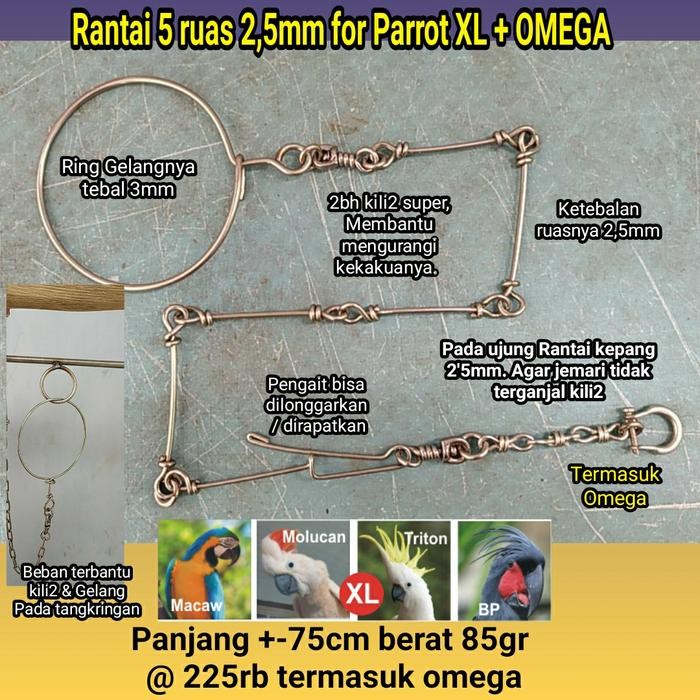 Paket Ring Kaki Omega dan Rantai Macau BNG hingga Macaw HYACHINT