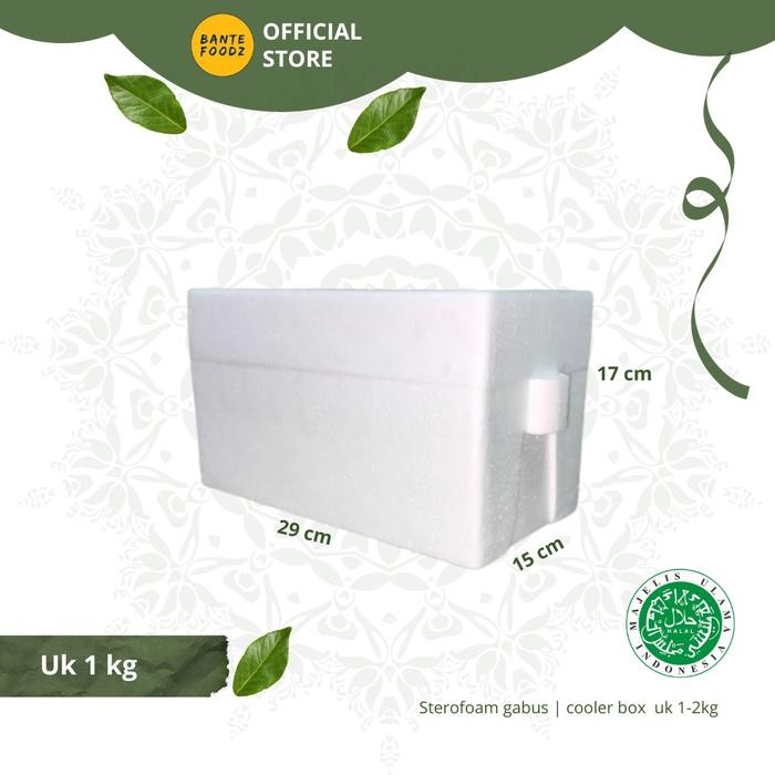 wdfq- Box Stereofoam Gabus Styrofoam Busa Sterofoam Kotak Es Besar Tebal
