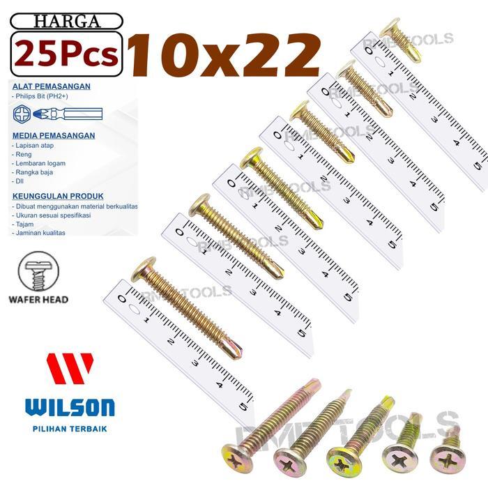 SEKRUP WAFER HEAD 10X22 2.2CM SKRUP SDS ROOFING RUPING BAJA RINGAN 10