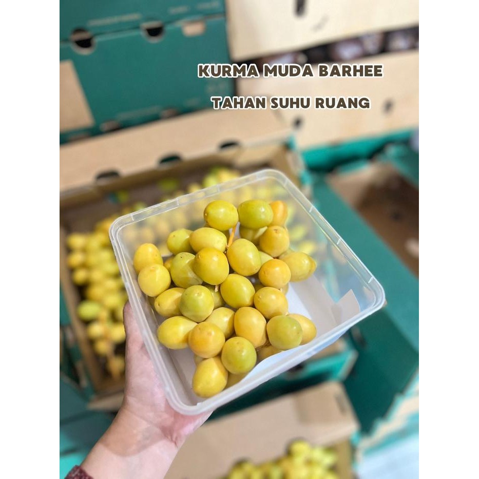 

Mamiseler45 - Paket Kurma Muda Kuning Barhee Segar Snack Sehat Premium