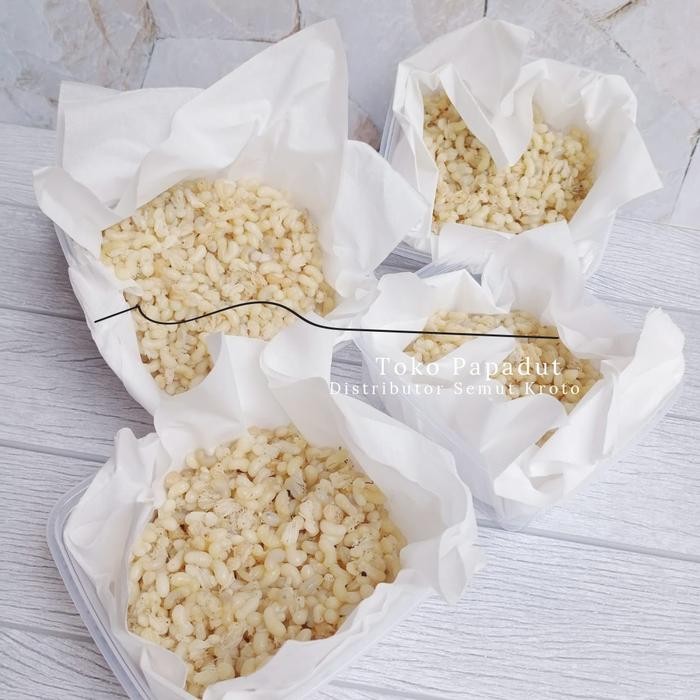 

KROTO KHUSUS TELUR BESAR NON SEMUT