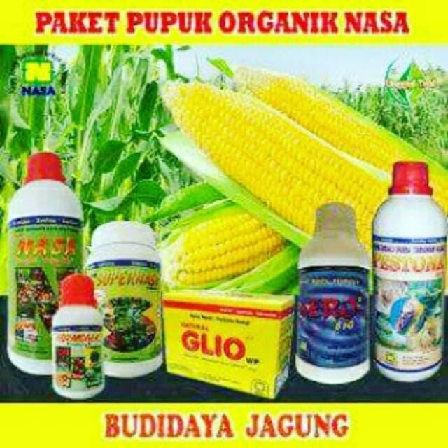 

Jual Budidaya Jagung Nasa / Paket Perkebunan Nasa Ekslusif
