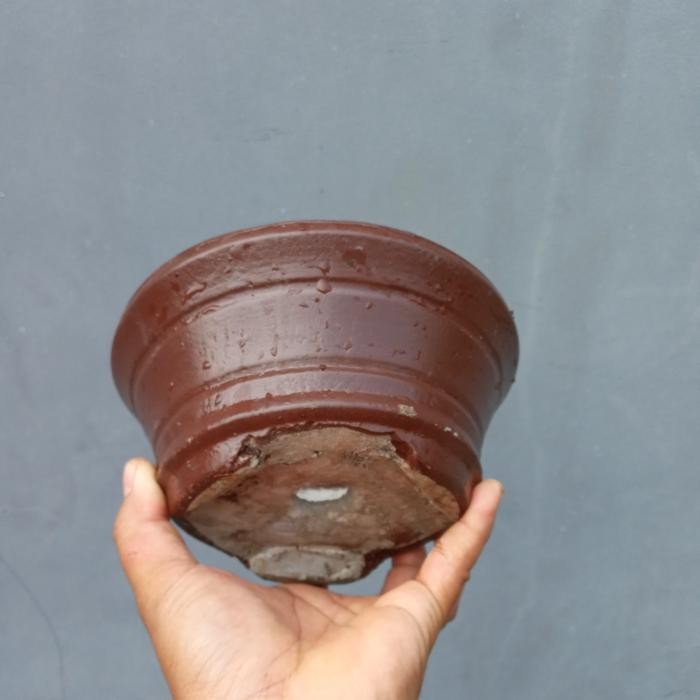 pot bonsai cascade 20