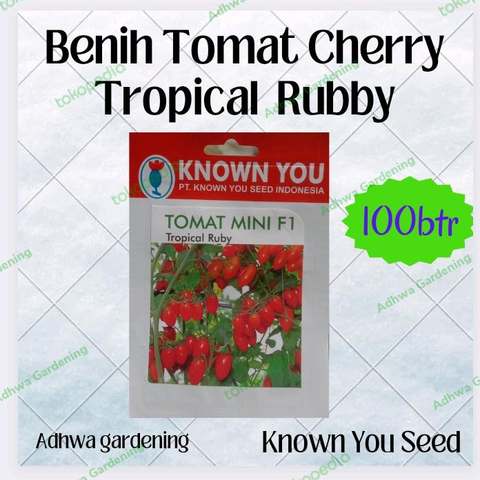 Benih Tomat Cherry Mini Tropical Rubby Original Known You Seed