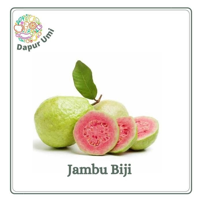 

Pilihan- Jambu Biji - Buah Segar Purwakarta