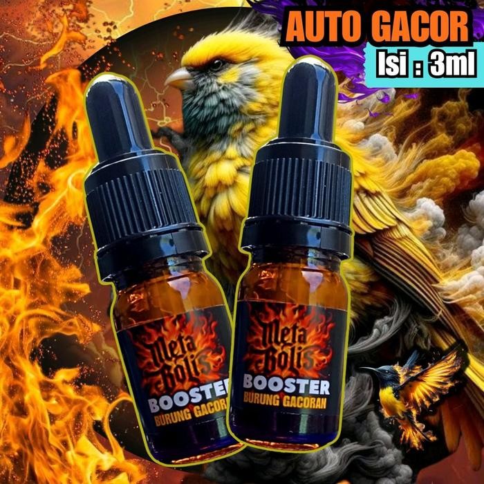 Chocolatoslatoe Metabolis Booster Penggacor Burung