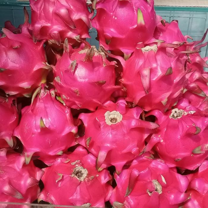 SegArRr- Buah Naga Merah Organik Naga Merah Manis - 1Kg