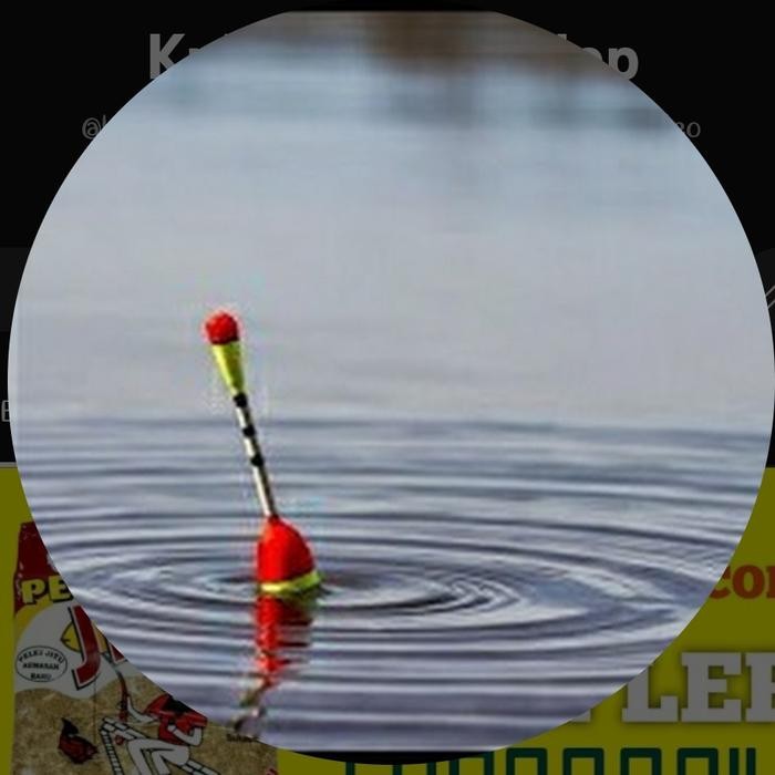 DUniaPancingan- Bom Bandul Pengumpul Ikan Mas