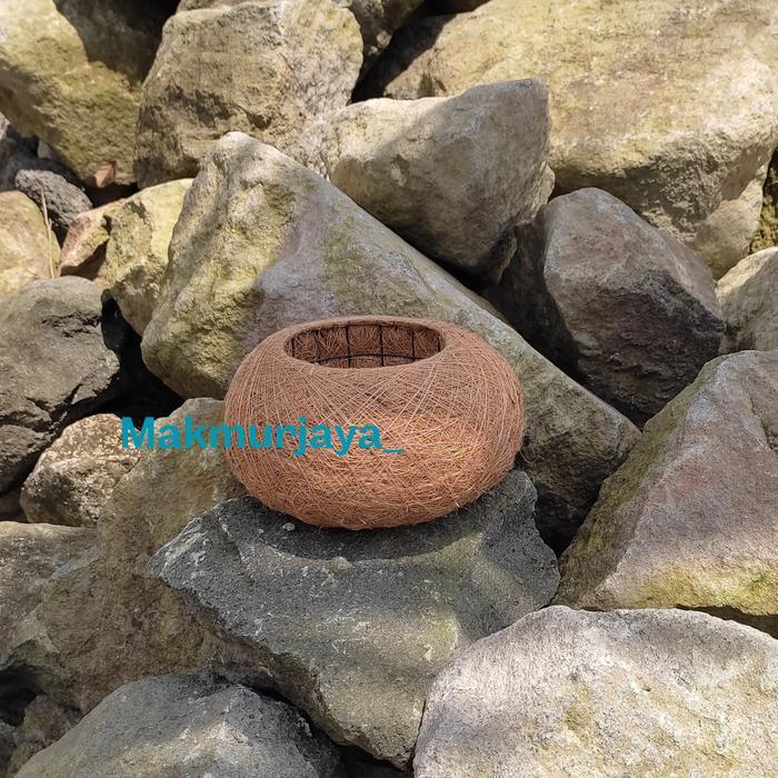 1 PAKET ISI 3 PCS POT KOKEDAMA BESAR - DEKORASI INDOOR - POT ANGGREK SABUT KELAPA - BUNGA LILI PARIS