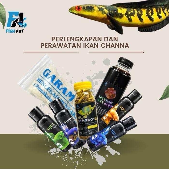 Paket Lengkap Perawatan dan Pengobatan Ikan Channa Dan Predator | Paket Perawatan Ikan Channa - Yell
