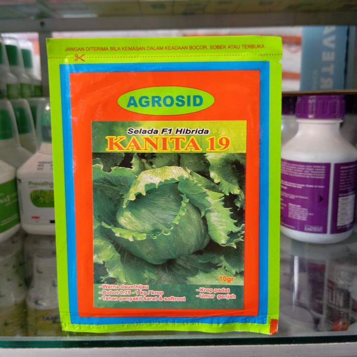 Juwara_Syatu Benih Selada Lettuce F1 Kanita 19 10Gr