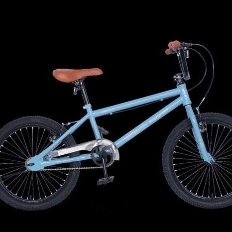Sepeda anak BMX 20 Evergreen