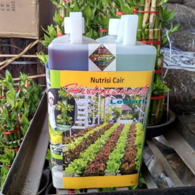 

Promo Pupuk Nutrisi Cair Hidroponik A & B Mix Untuk Sayuran Daun Isi 2 Liter Terlaris