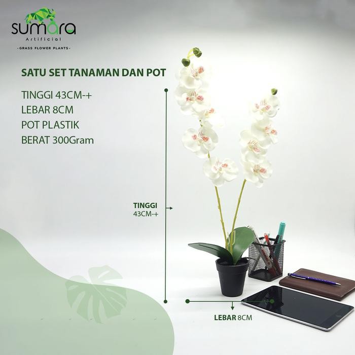 Jlterang Bunga Anggrek Putih Plastik + Pot Cantik