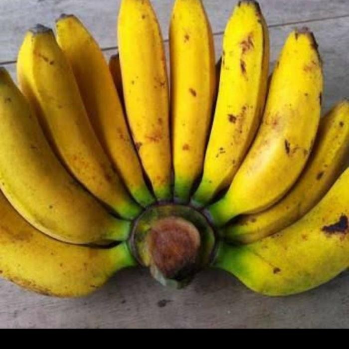 

Pilihan- Pisang Uli / Pisang Uli / Pisang