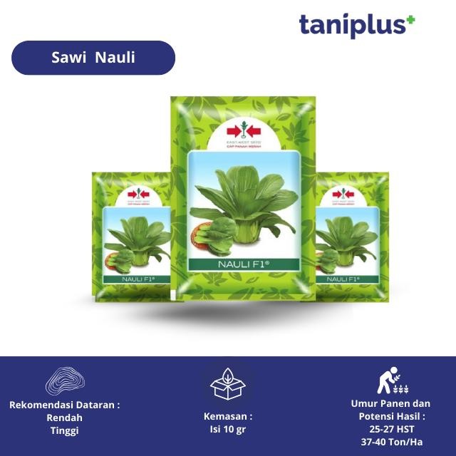 Sawi Nauli F1 10 gr Cap Panah Merah