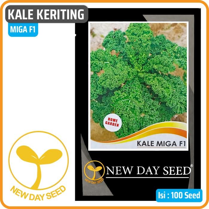 Benih New Day Seed - Kale Miga F1