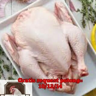 

Pilihan- Ayam Utuh -+1,3Kg Potong 10/12/14