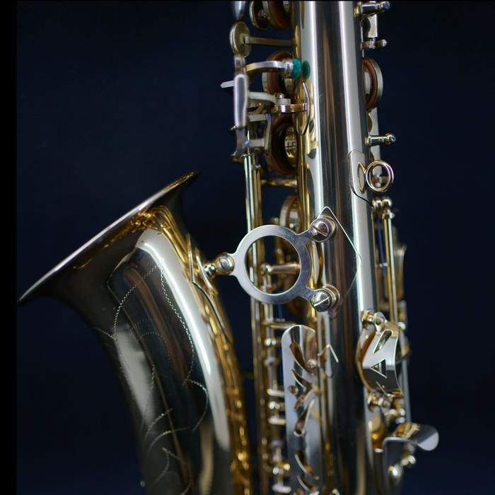 r352- Ludwig Alto Saxophone Las-275 By Jsax (100% New)