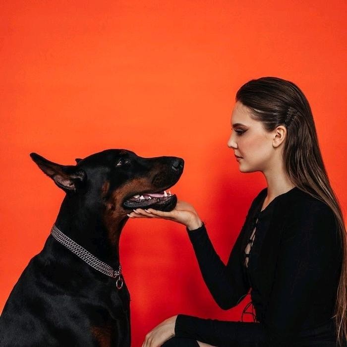 Rantai Kalung Anjing Besar Model Baru Promo 