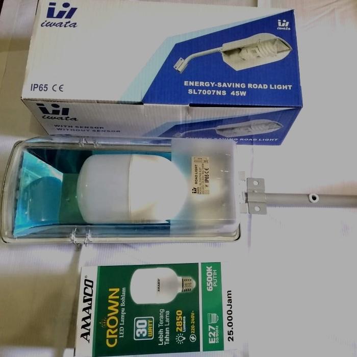 KAP LAMPU JALAN ( PJU ) IWATA IP 65