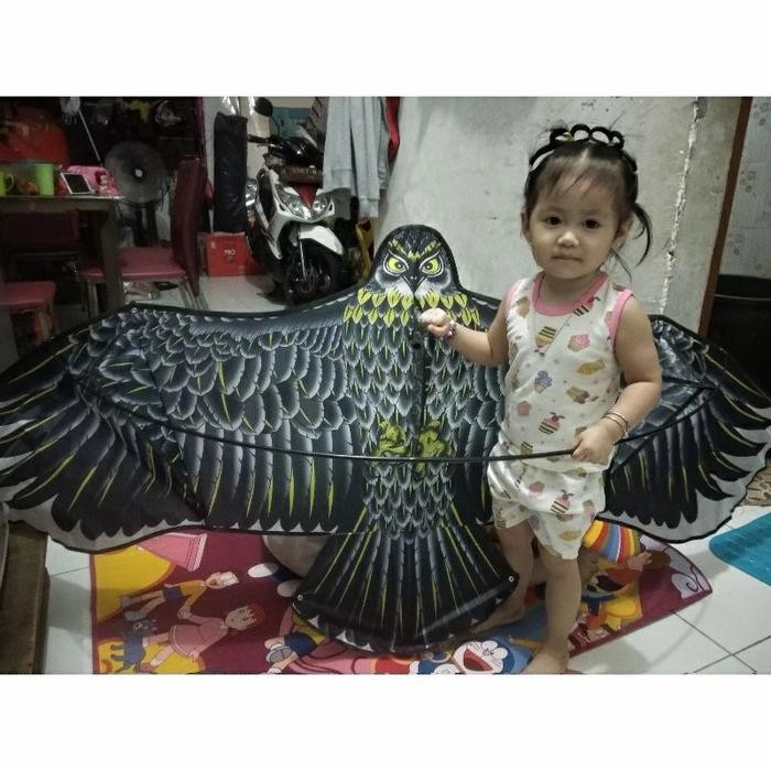 layangan elang jumbo