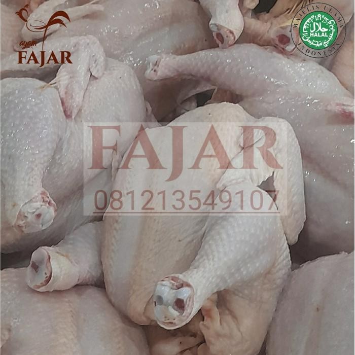 

Pilihan- Karkas Ukuran 1.5 Kg Fresh