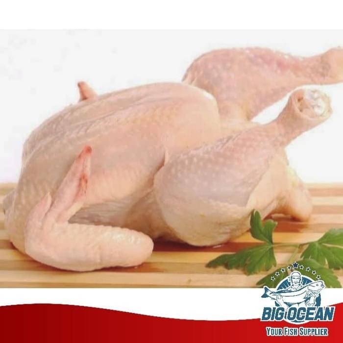

Pilihan- Ayam Broiler Utuh Ekoran Berat 1-1,5Kg