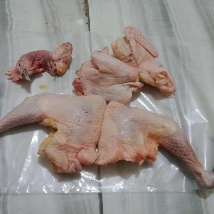 

Pilihan- Promo Murah Ayam Kampung 1 Kg Potong 4 Super Jumbo