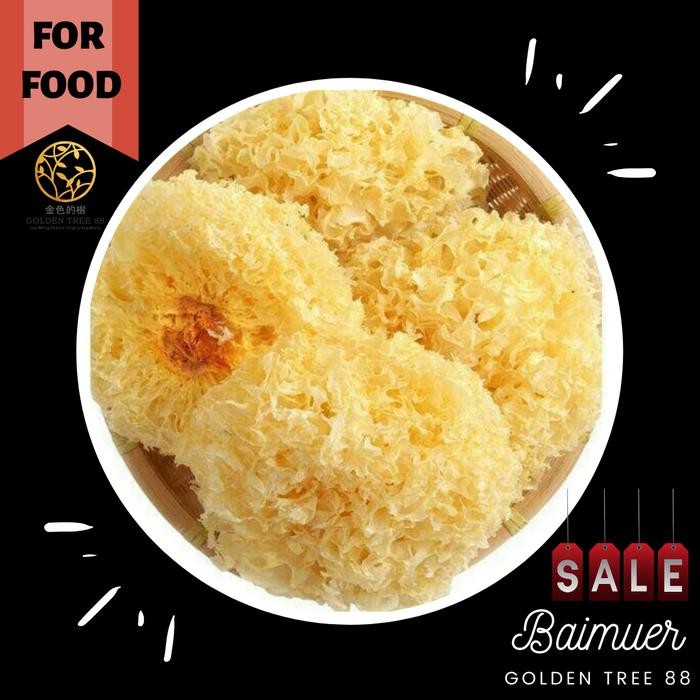 

Pilihan- Bai Mu Er / Jamur Putih Es / Fresh Premium Quality Herbal Jamur