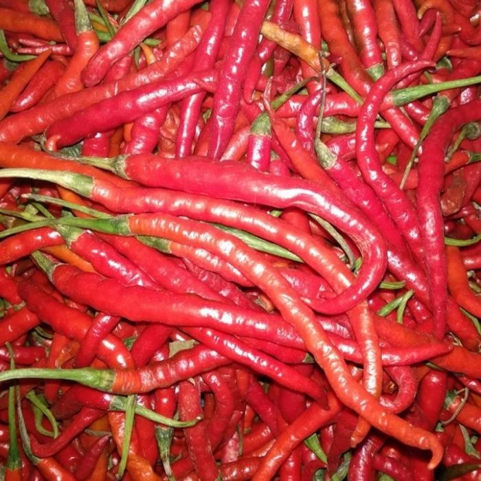 

Pilihan- Cabe Merah Keriting 250Gram