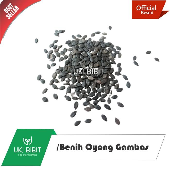( 100 Gram ) Benih Oyong Gambas Lokal