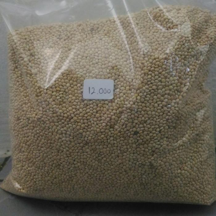 Makanan Burung Millet Putih 1 Kg Promo 