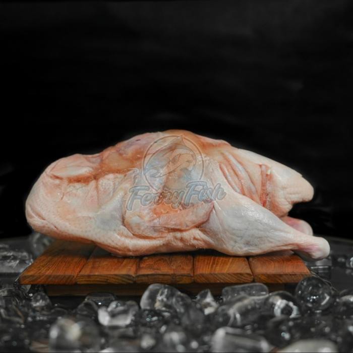 Instanbisa- Daging Bebek Peking 2Kg Pakai Kepala Kaki