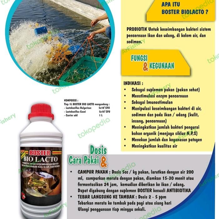 PetShoPq- Boster Biolacto 1 Liter Lacto Bacillus